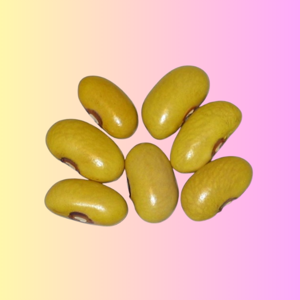 Yellow Beans Per KG