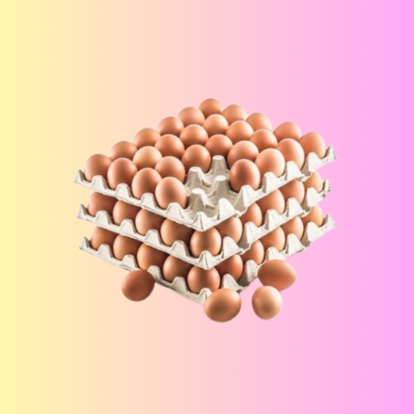 Eggs Per Tray